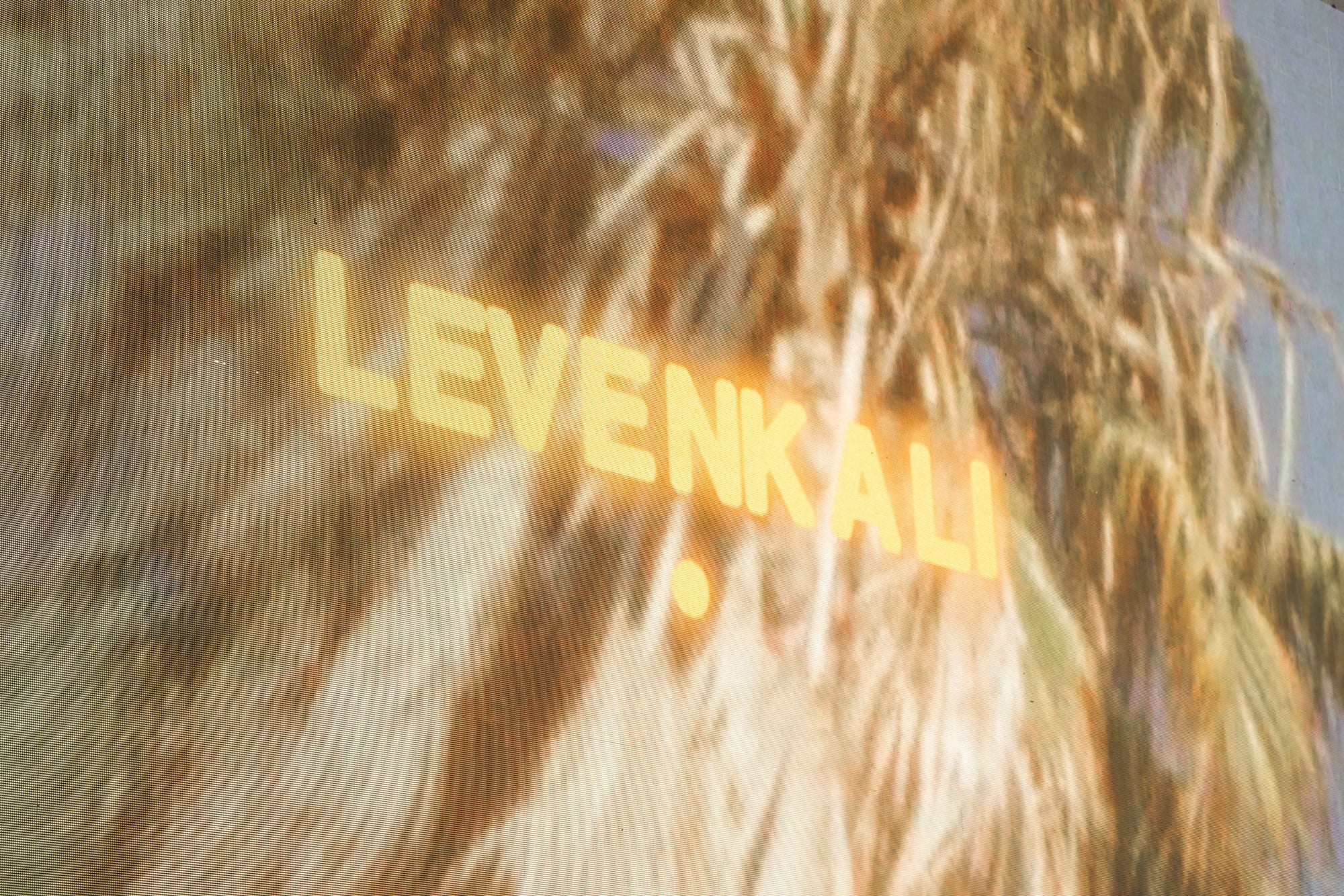 Leven Kali concert photography by Ryan Yee