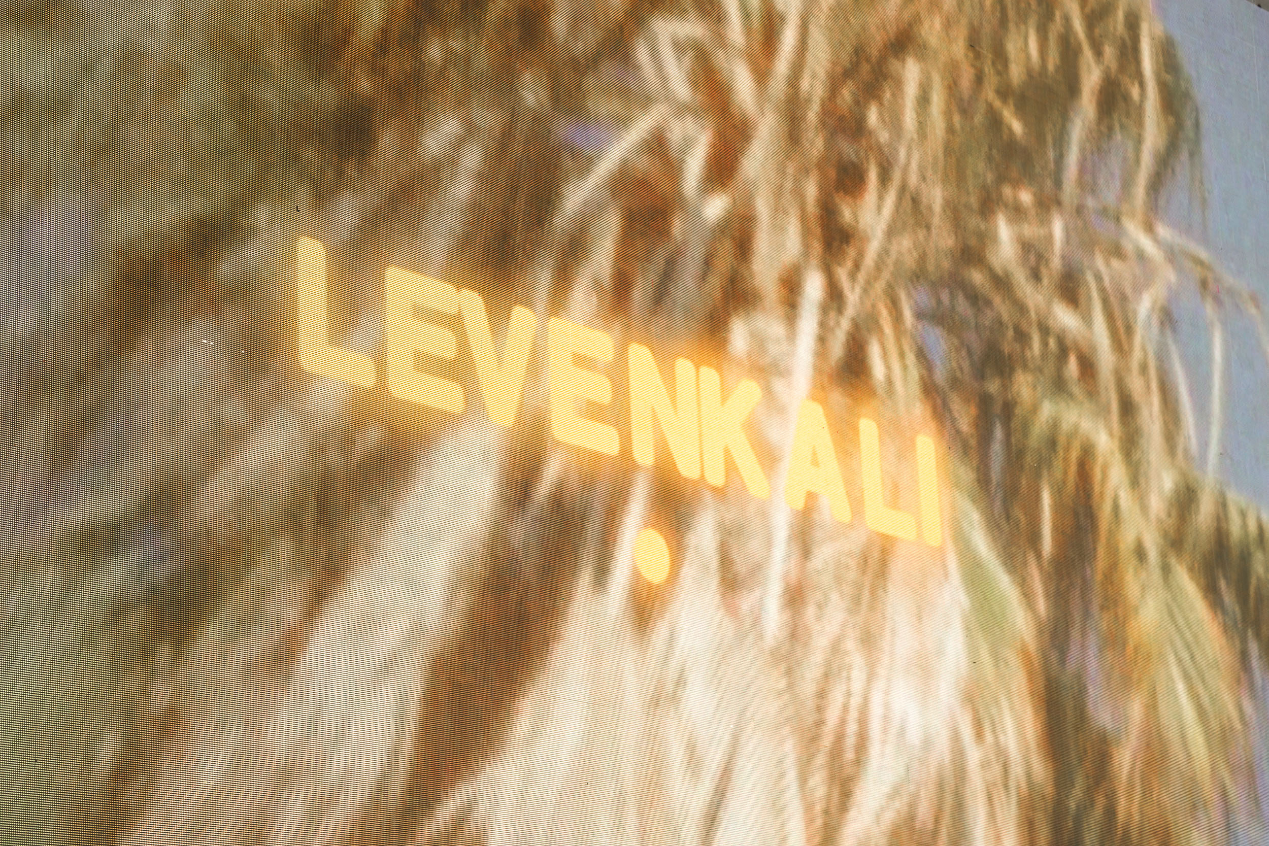 Leven Kali concert photography by Ryan Yee